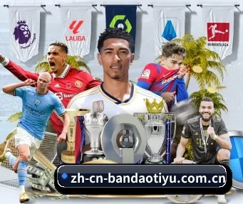 半岛体育 APP